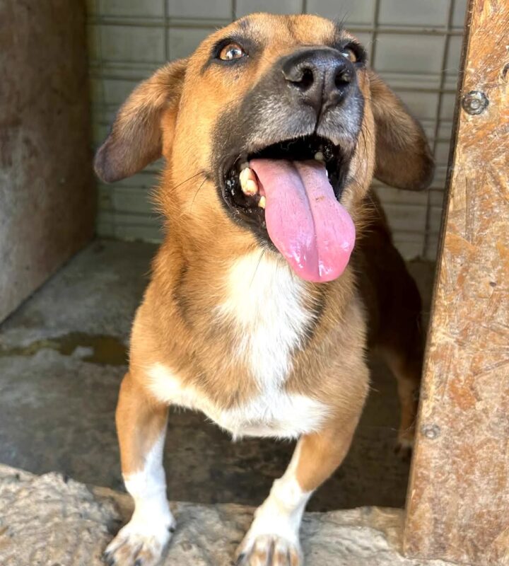 1b9a962c61c790ef48b681660e7fd262