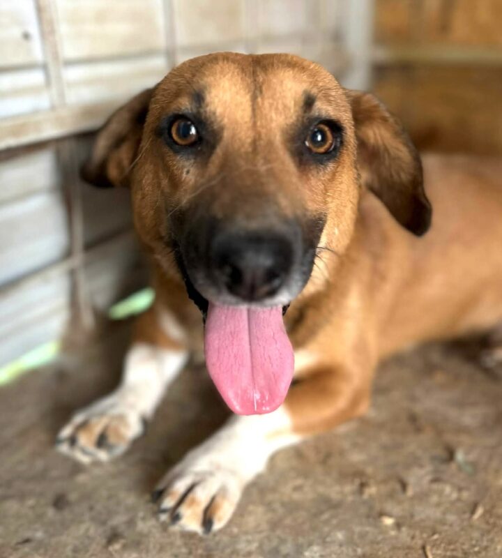 c6de6a48a73c53ffbc741d4964433893