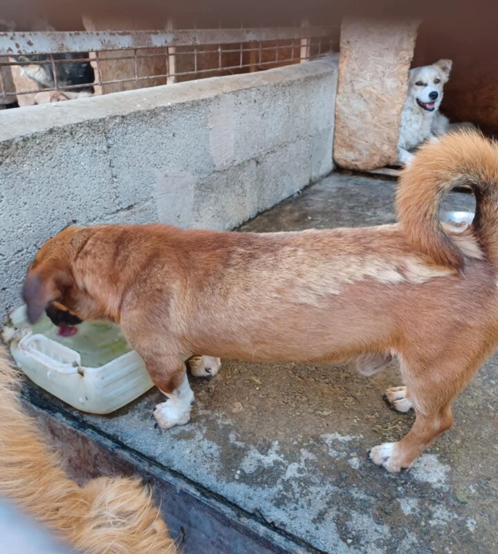 df57dd6df6ff0741d9dd6389f662dd8b