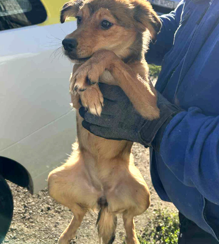 574564232_122251996916187828_5888825091709773329_n