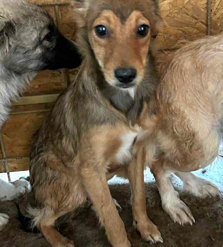 576212757_122251997252187828_315259670482323616_n